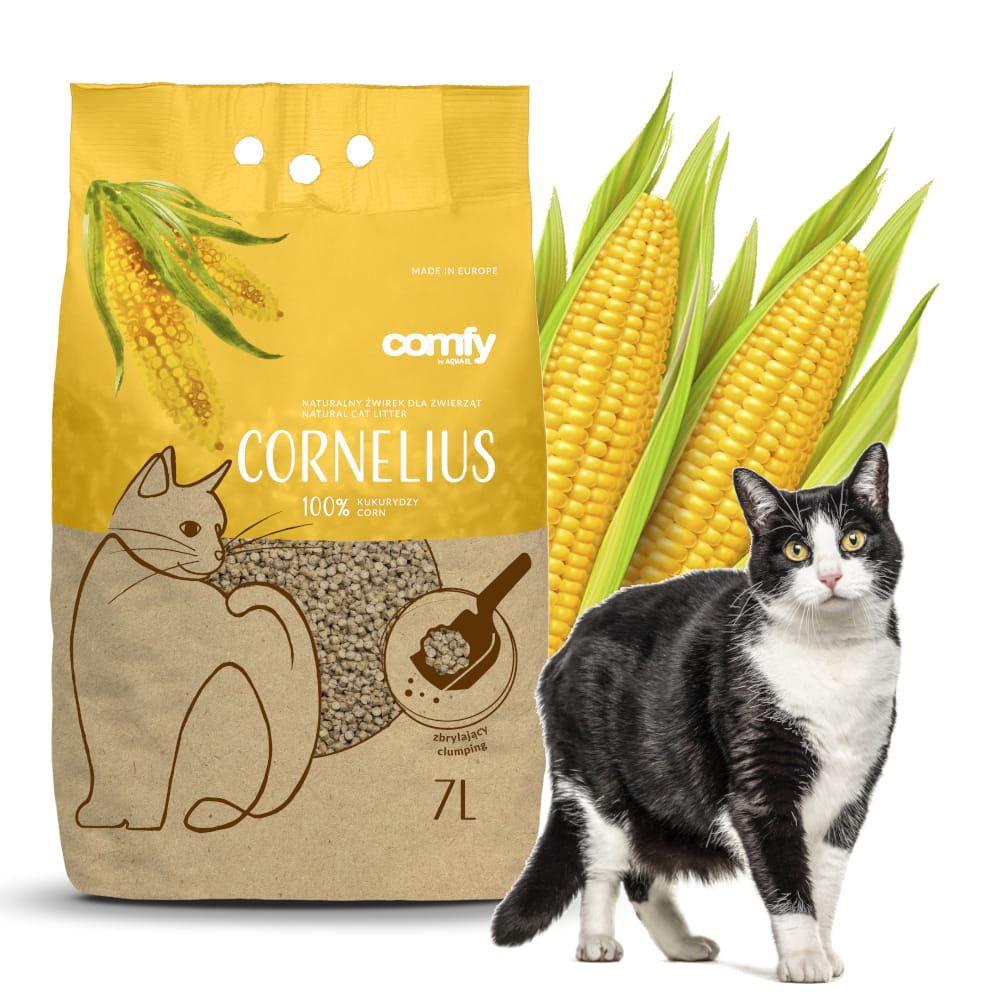 cornelius 7.jpg